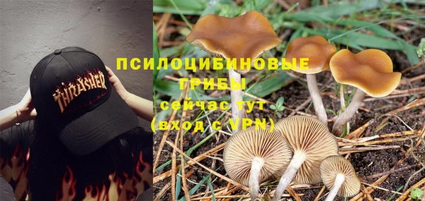 спиды Бугульма